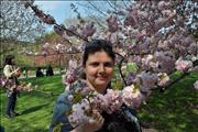 2010-04-11 11-19-19_0071